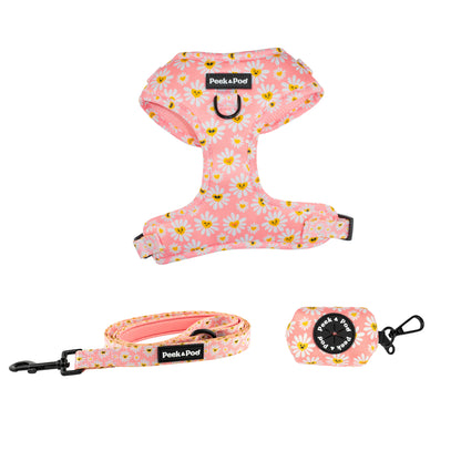 Pack ajustable estampado - Daisy Smile